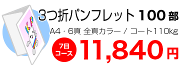 A4 6P 3折 100部 11840円